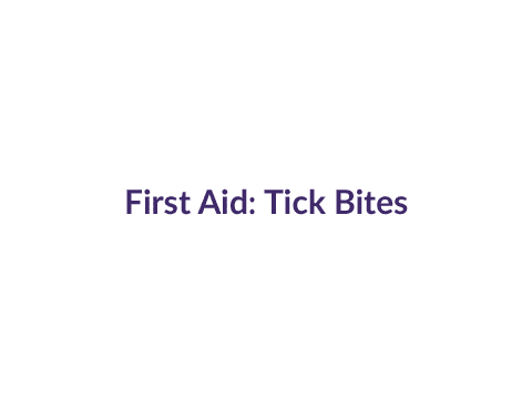 First Aid for Tick Bites: View the animation to learn how to remove a tick.