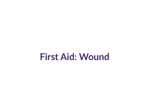 First Aid for Wounds: View the animation to learn how to stop bleeding and care for a wound.